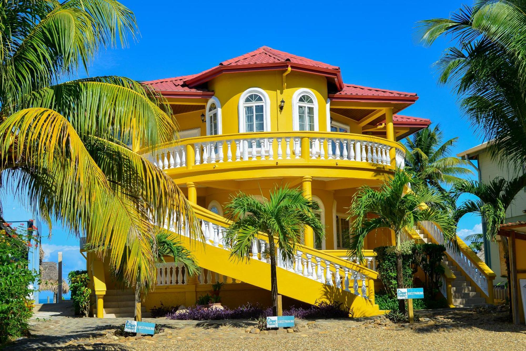 Blue Parrot Beach House And Villas Hopkins Eksteriør bilde